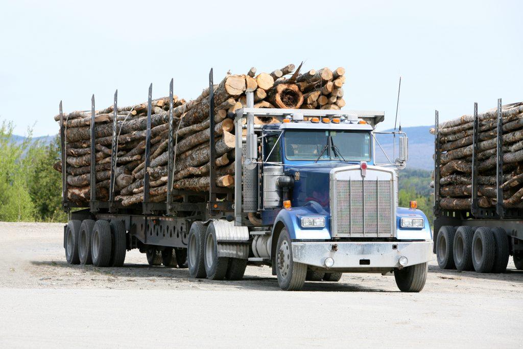 18 Wheeler Logging Truck in West Virginia